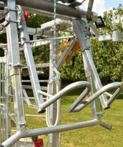 Alternative view of GDS Electric Hoof Trimming Crush